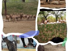 -北京野生动物园