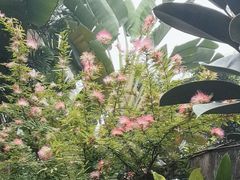 -都氏家DUSJOY(翡翠城店)