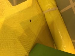 卡通尼乐园(金桥广场店)-卡通尼·Safari非洲探索乐园·生日会(金桥国际商业广场店)