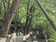-忠山公园