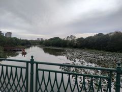 -新江湾城公园