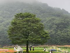 -广州市石门国家森林公园