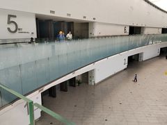 -中国（海南）南海博物馆