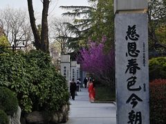 -曲江春晓苑