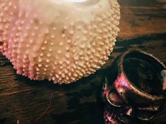 -The Tiki Bungalow提基小木屋酒吧