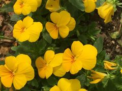 -南通洲际绿博园