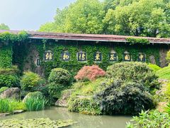 -中国茶叶博物馆(双峰馆区)