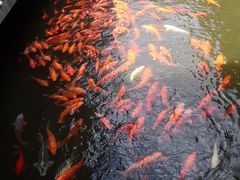 -浙江省博物馆(孤山馆区)