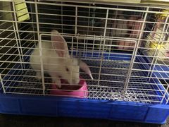 -金田水族花卉市场(银庄大厦店)