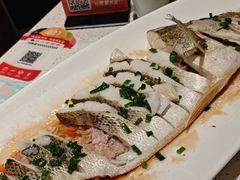 -船歌·鱼水饺青岛菜(金狮广场店)