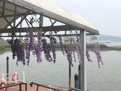 -仙山湖景区