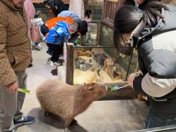 -造物庄园 萌宠纪(苏州湾歌林公园店)