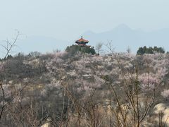 -白水寺森林公园