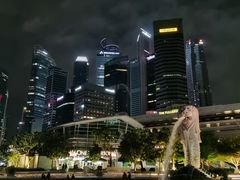 -新加坡乌节希尔顿酒店 (SG Clean)