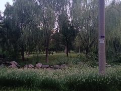 -莲花池公园