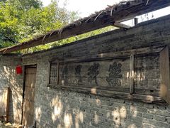 -南山植物园