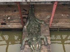 -洞里萨湖