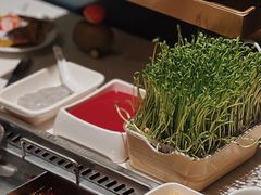 -海底捞火锅(国奥村店)