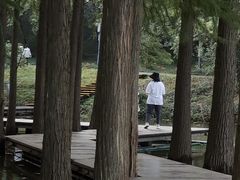 -采石矶景区