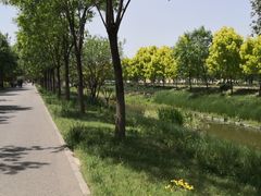 -东郊湿地公园