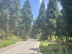 -重庆睡佛山森林公园