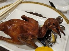 妙龄乳鸽-帝皇楼