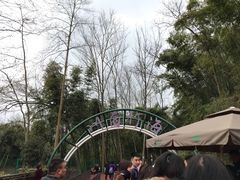 -川西竹海景区