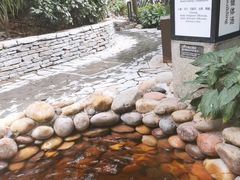-融汇温泉