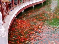 -西海子公园