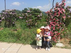 -名花谷生态庄园