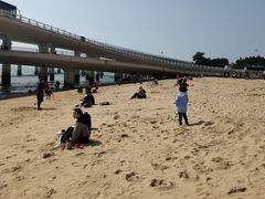 -演武大桥观景平台