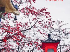 -广州中山纪念堂