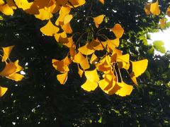 -塘沽森林公园