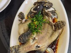 -哈味食店(外伶仃岛店)