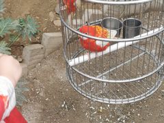 -南宫五洲植物乐园