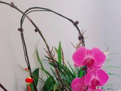 -沐森 •疗愈头疗馆(打浦桥店)