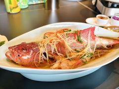 -恬阿姨庭院餐厅·生日宴