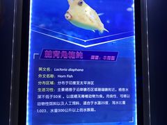 -多彩贵州城极地海洋世界