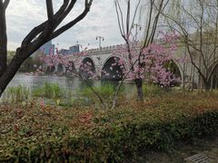 -尚贤河湿地