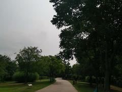 -盘龙城国家考古遗址公园