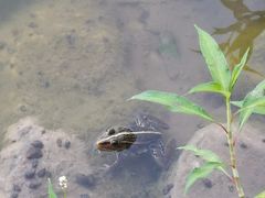-静之湖度假区