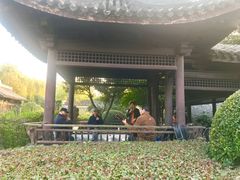 游乐设施-月湖公园