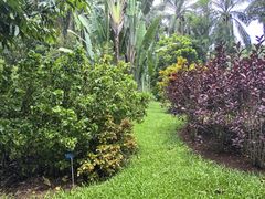 -中国科学院西双版纳热带植物园