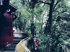 -子昂故里文化旅游区