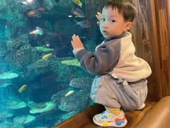 -长鹿旅游休博园