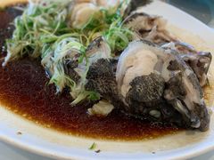 -美心皇宫(沙田大会堂店)