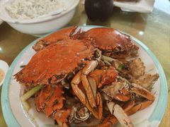 -鸿达渔港
