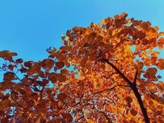 -北京西山国家森林公园