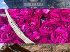 -大理洱海