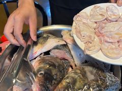 -花鲢鱼头火锅(春城东路店)
